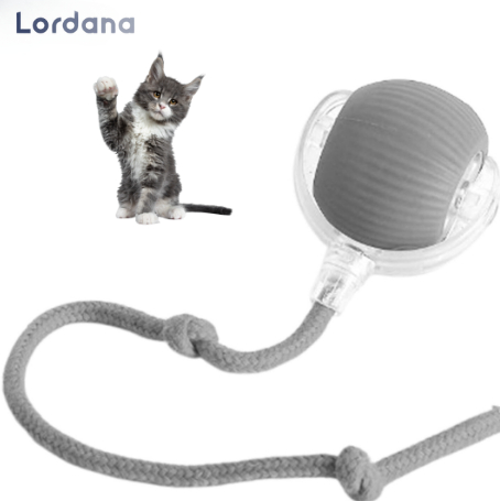 PetMotion™ |  Minimerer stress gennem regelmæssige udfordringer