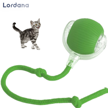 PetMotion™ |  Minimerer stress gennem regelmæssige udfordringer