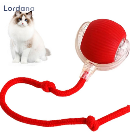 PetMotion™ |  Minimerer stress gennem regelmæssige udfordringer