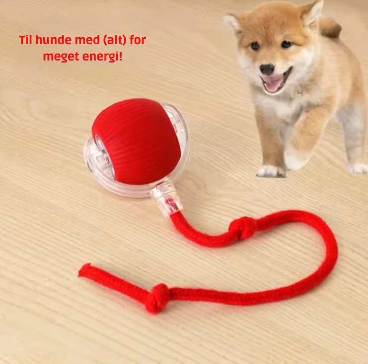PetMotion™ |  Minimerer stress gennem regelmæssige udfordringer