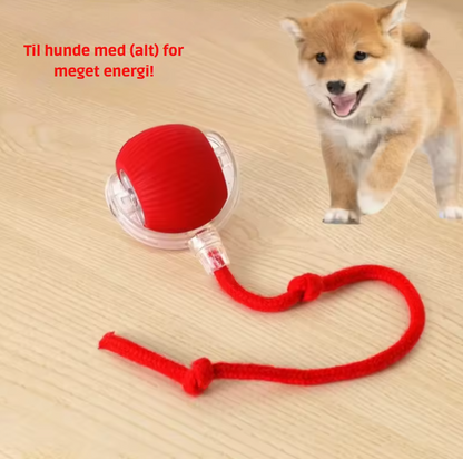 PetMotion™ |  Minimerer stress gennem regelmæssige udfordringer